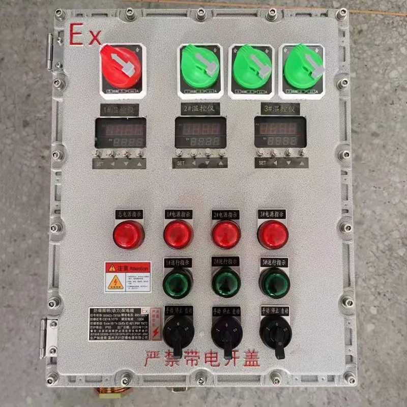 定做ERMWX不锈钢电防爆配电箱控柜变频器柜O仪表箱触照明摸屏接制