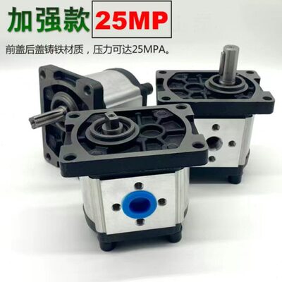 齿轮泵 油泵CBT-F304 CBT-F306 CBT-F308 CBT-F310 CBT-F316 F320