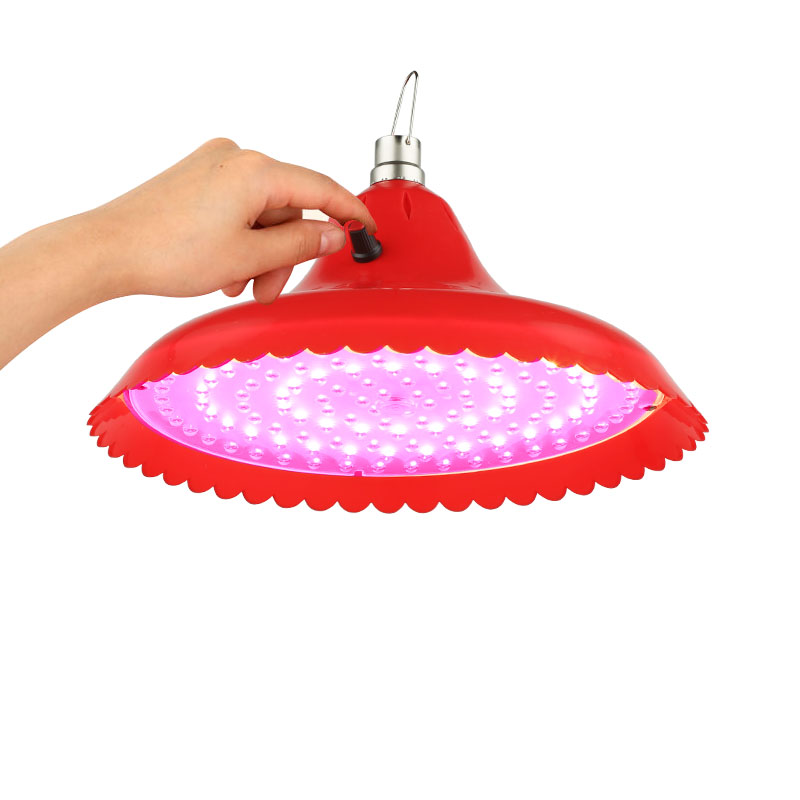 12V调变光地摊灯低压lqed电瓶灯48V水果灯生鲜灯熟食卤味灯夜市灯