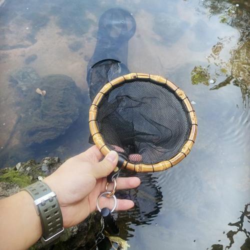 路亚飞蝇溪流网兜挂腰小物钓走钓竹根小鱼护野钓微物小型便携鱼护