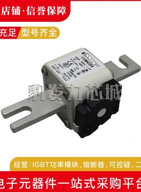 170M4313 170M4314 170M4315 170M4316 170M4317 170M4318熔断器