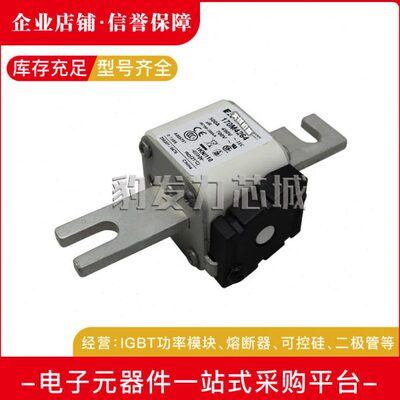 170M4313 170M4314 170M4315 170M4316 170M4317 170M4318熔断器