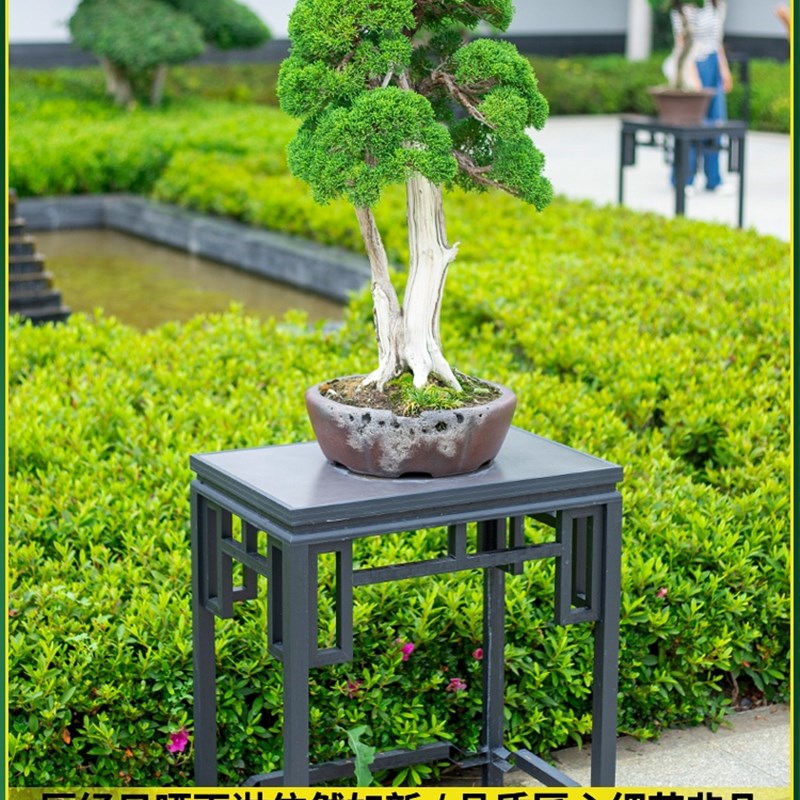 梯形室外阳花台架子置物架多肉院客厅防腐M阶梯落地铝庭户外多层