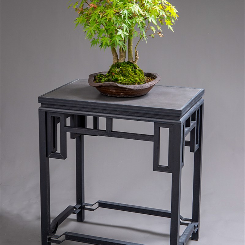 花架子客厅落地式花架置r物架阳台几架新款多层植物多肉盆室内花