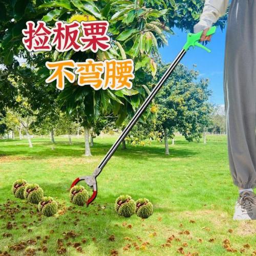 捡板栗神器捡栗子夹子工具拾山核桃坚果剥栗子手套不弯腰加长钳子