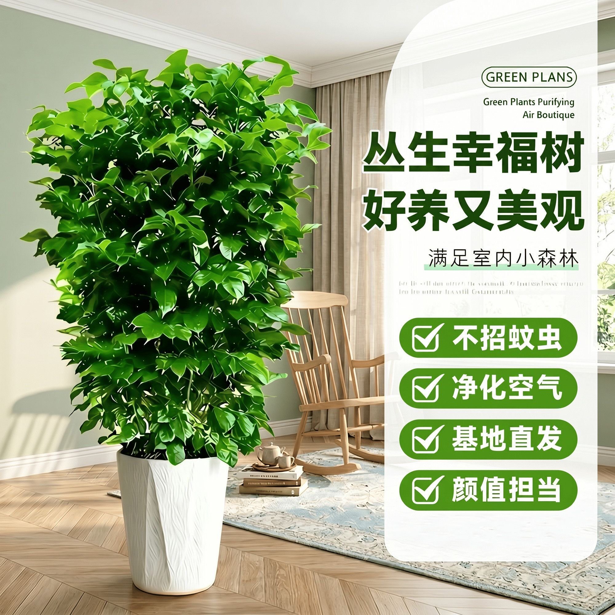 幸福树客厅大盆栽植物大型好养高档次办公室绿植造型净化空气好养