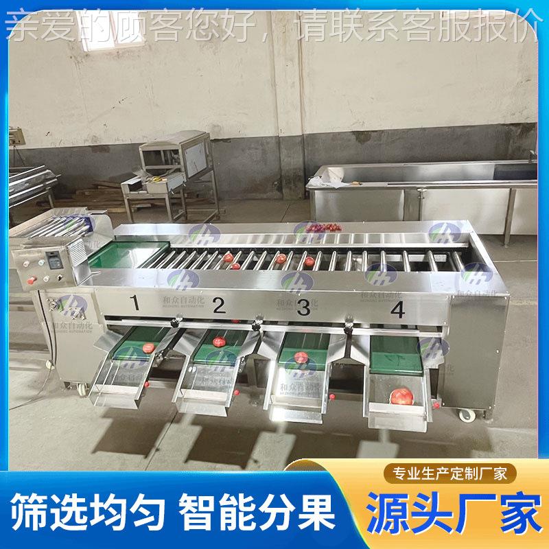 滚杠柿选 果机小西红大小直径分选 机不锈钢滚杠式DNA黄桃分级机