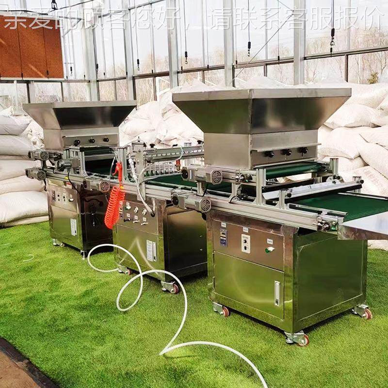 常IQN青穴花盘播种机 自动化省时省辣椒蔬力菜育苗机卉吸针式播种