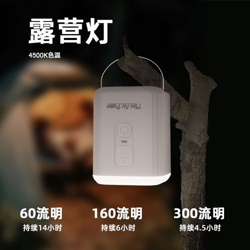 户外露营打气机气垫床帐篷游泳圈电动可携式抽P气打气野外野营沙