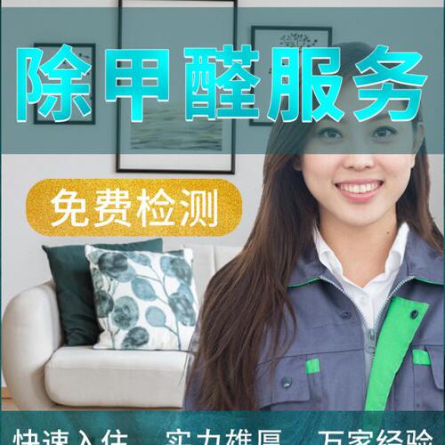 上海专业上门除甲醛服务  去甲醛治理服务公司空气净化