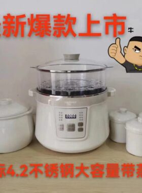 天际电炖炖锅隔水炖盅陶瓷煲汤锅电用家用燕窝全自动超大容量4.2L
