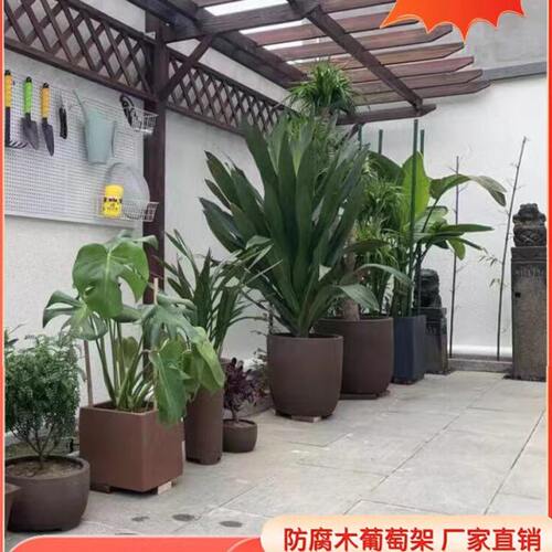 户外葡萄庭院防腐木单边爬藤阳台地板露碳化花架樟子松长廊葡萄架