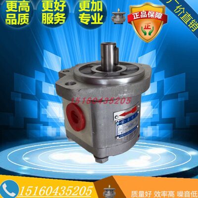 长江齿轮泵 CBK1004 1006 1008 1010 1012 1016 1020 1025-B1FR/L