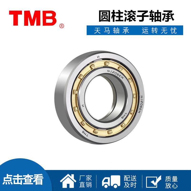 TMB轴承NJ NU220 221 222 224 226 228 230 232 234 236 238EM