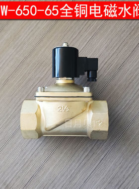 2W-650-65 全铜电磁阀水阀气阀丝扣螺纹 DN65 AC220V DC24V