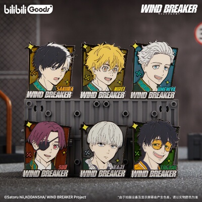 bilibiliGoods WIND BREAKER防风铃 风之守护系列 徽章 卡套
