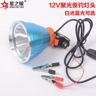 12V蓝光灯头强光LED 钓鱼白光聚光P70灯芯 夜钓垂钓12V夹电瓶头灯