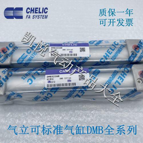 气立可CHELIC标准气缸DMB63X25/50/75/100/125/150/200/300-LB/CA