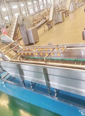 商用西带蓝花可清洗CUX机机气泡式加臭氧网速度可调一多用扁豆清