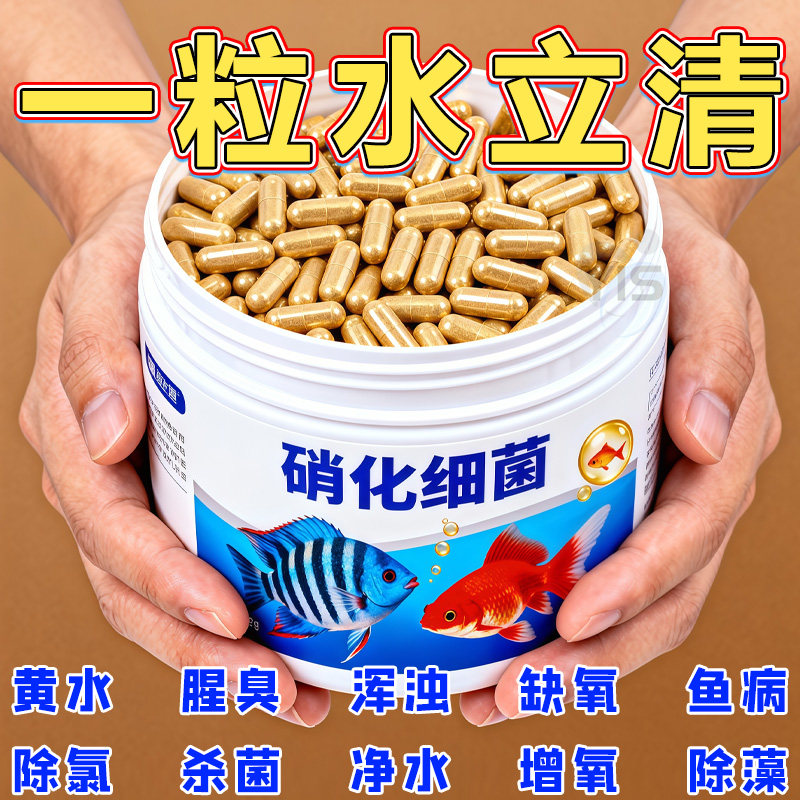 硝化细菌鱼缸用专用胶囊净水剂颗粒活菌干粉水质稳定净化水族鱼用