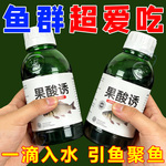果酸鱼饵小药开口剂大全野钓黑坑专用诱鱼添加剂罗非鲫鱼鲤鱼鲢鳙