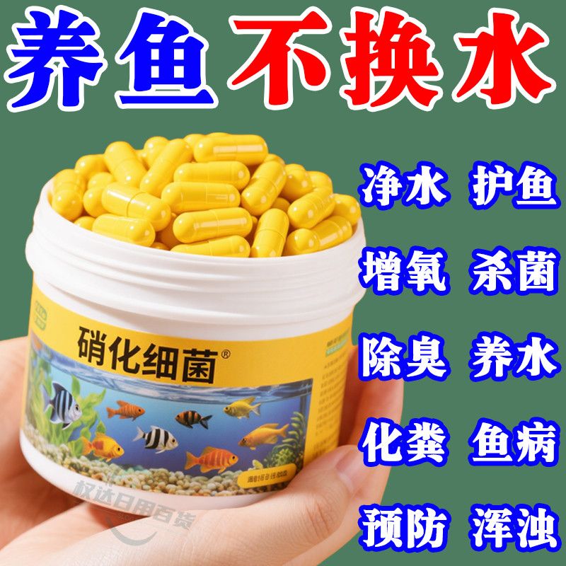 浓缩硝化细菌净化水质分解鱼粪便
