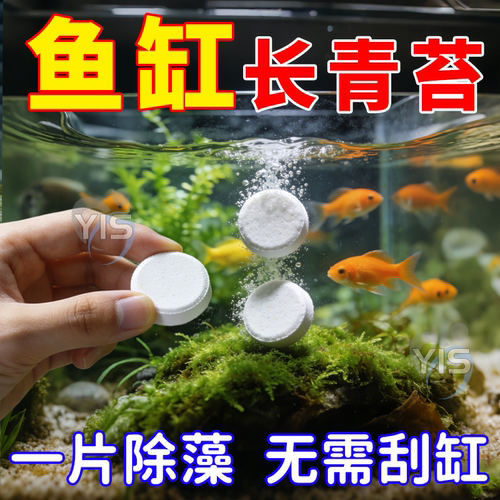 鱼缸除藻剂去苔净青苔不伤鱼
