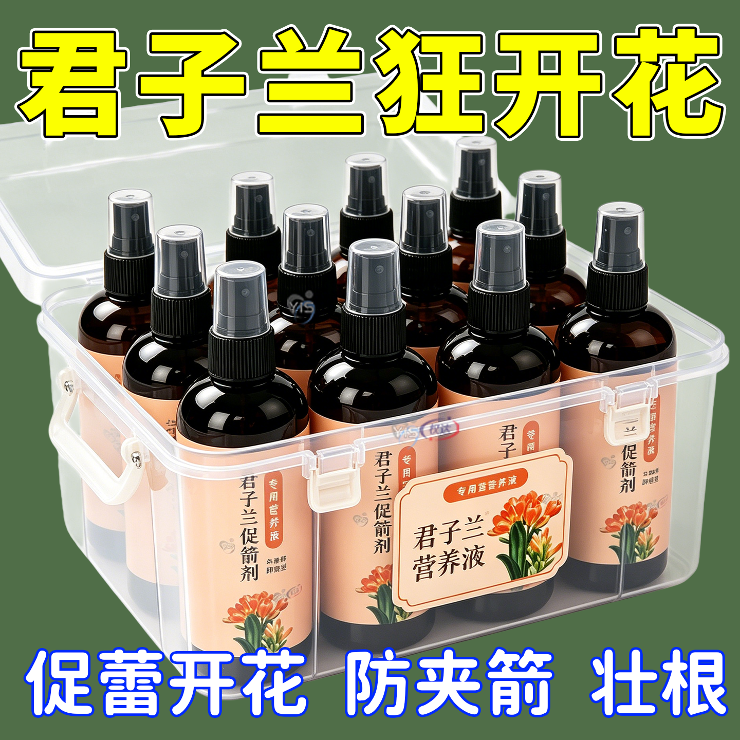 君子兰营养液专用肥促箭剂催花急救叶子发黄烂叶烂根免稀释液体肥