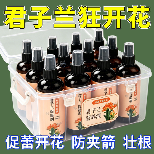 君子兰营养液促箭孕蕾叶片油润