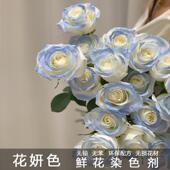 花妍色鲜花专用喷漆 碎冰蓝鲜花喷色剂花艺彩色喷罐花店专用染色