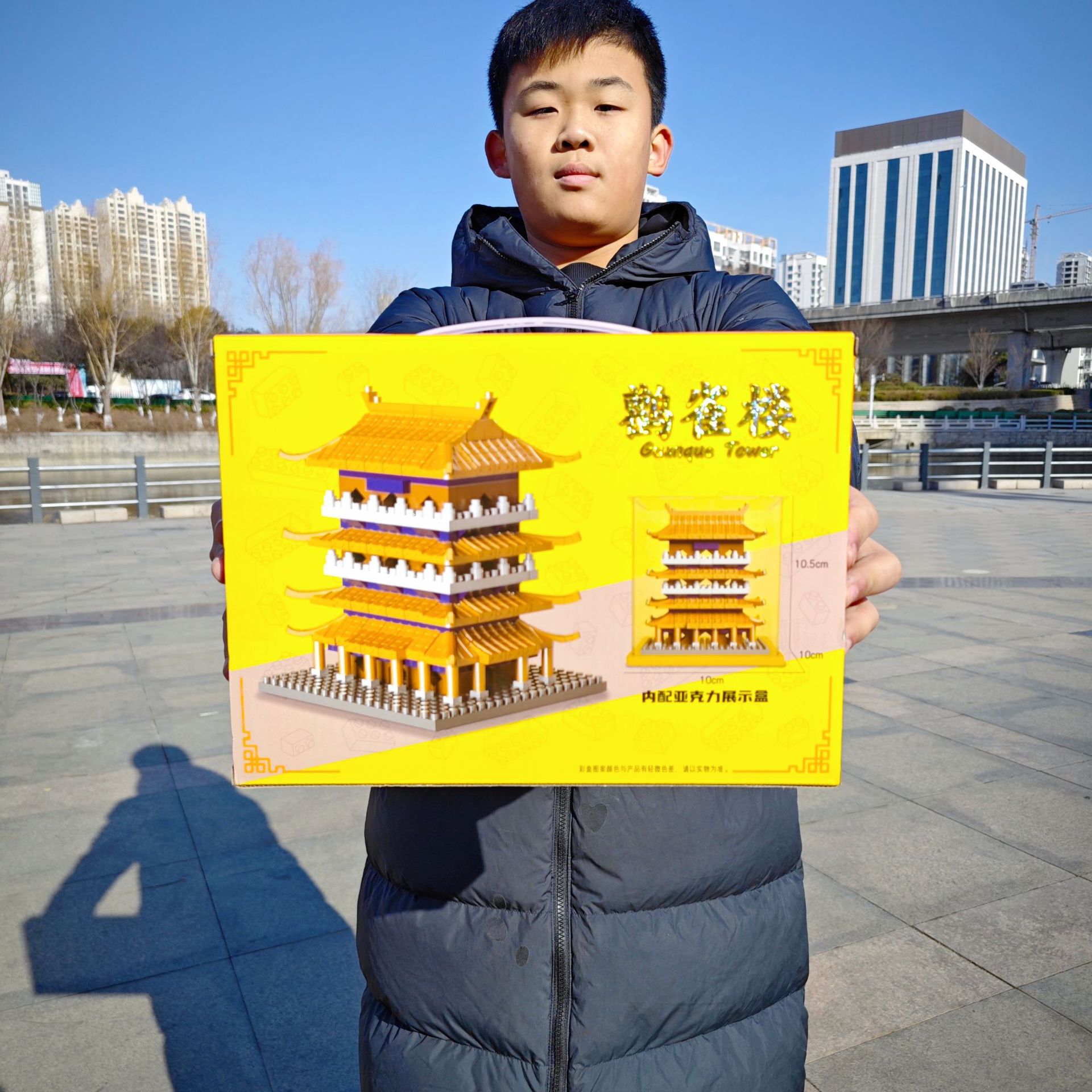 四大名楼建筑模型送亚克力展示盒微颗粒益智拼插积木儿童玩具