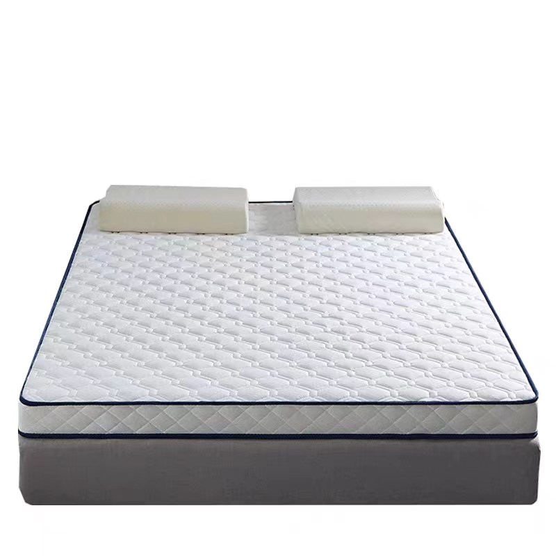 定制床垫90*1.1*1.3*1.4*1.5*1.6*1.7*1.8*1.9*2米家用榻榻米软垫