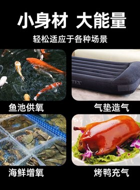 海利氧气泵静音增氧泵鱼池养鱼专用气泵户外打曝氧机鱼缸加氧HAP