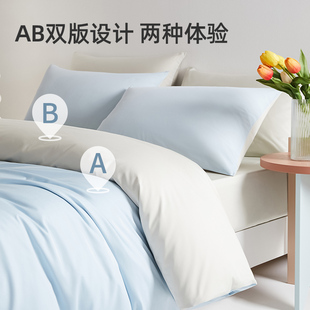 佳丽斯100支长绒棉四件套纯棉全棉床上用品轻奢高级感床单床笠款
