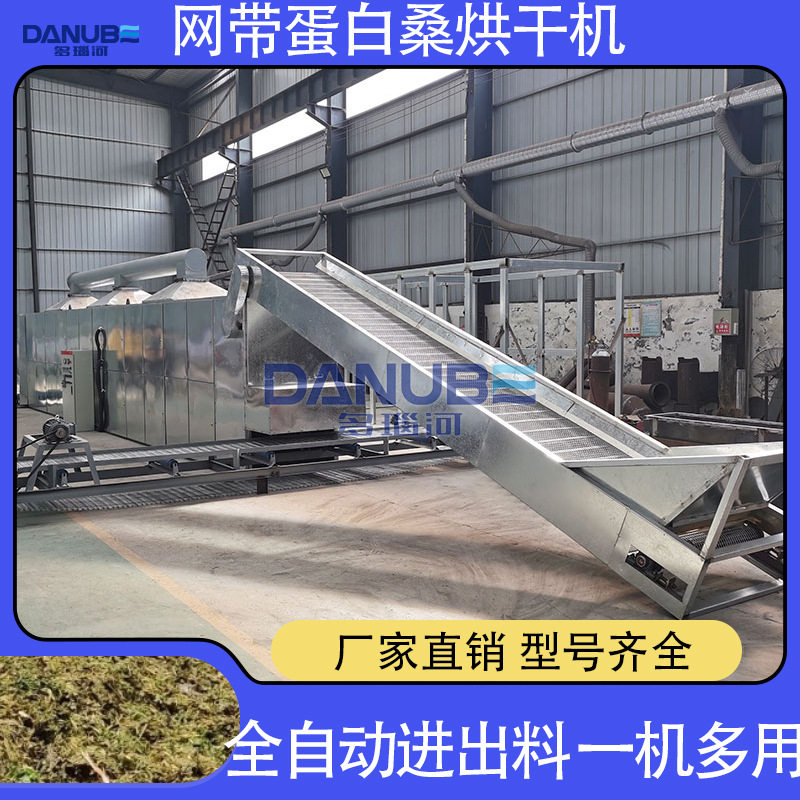 蛋白桑烘干机 全自动饲料桑桑树叶脱水干燥机 网带蛋白桑烘干设备
