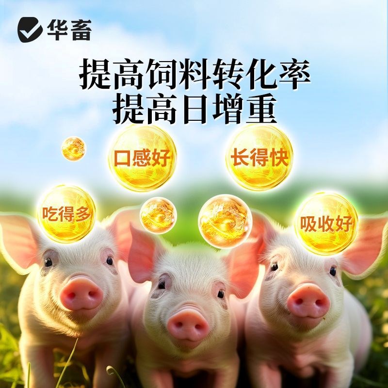 DB华畜兽用益生菌维生素益生素猪牛羊鸡芽孢杆菌促长饲料添加剂