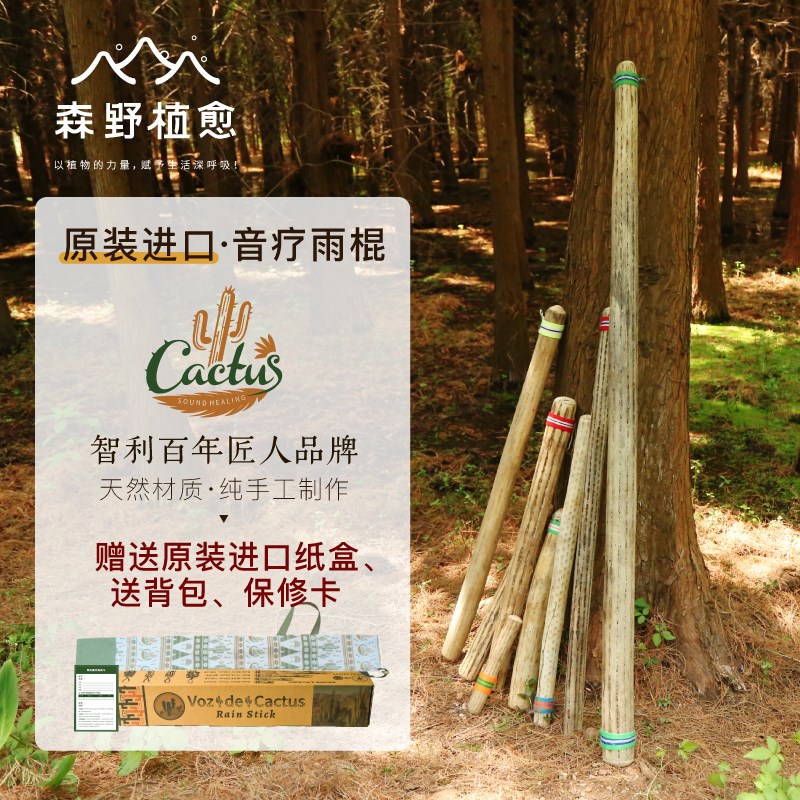 仙人掌雨棍疗愈南l美智利进口卡杜斯雨棍棒海浪拟声音解压音疗乐