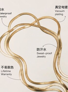 RAWNESS 美式轻奢钛钢金银蛇骨链 叠戴锁骨链 男女情侣款项链素链