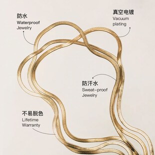 RAWNESS 美式轻奢钛钢金银蛇骨链 叠戴锁骨链 男女情侣款项链素链