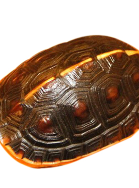 天然完整干净真乌龟壳富甲文玩盘玩手把件龟甲家居摆件送礼品一套