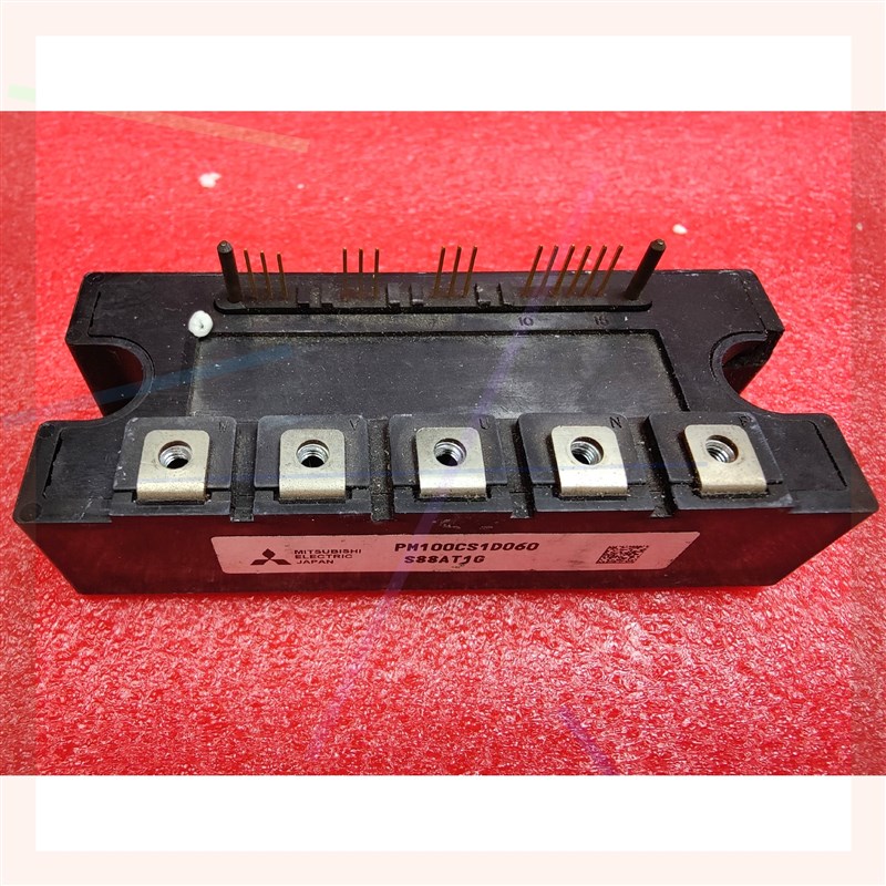 PM200CS1D060  PM100CS1D060  PM