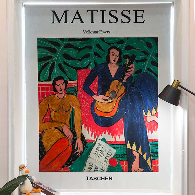 免打孔遮光马蒂斯简约卧室u客厅现代外装拉珠定制落地窗飘窗卷帘