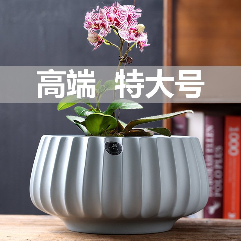 原厂 陶瓷花盆欧式发财树蝴蝶兰吊兰专用盆绿植特大号一件代发