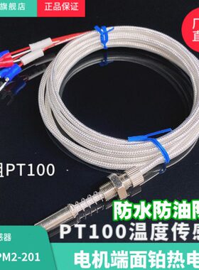 WZPM2-201端面热电阻双支铂热电阻电机测温探头PT100热电阻轴承测