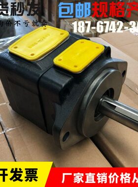 DENISON丹尼逊油泵T6C 005 1R02 B1行走机械油泵T6C 005 1R03 B1