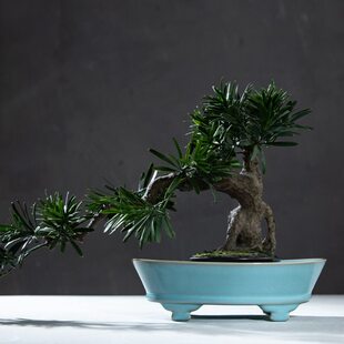 仿古瓷器 复古北宋官窑 天青釉水仙盆 花盆 盆景盆 花器 收藏古玩