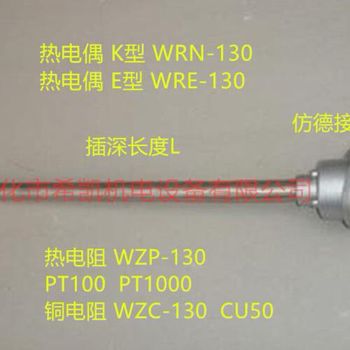 装配式热电偶 铂热电阻 温度传感器 测温探头WRN-130WZP-138PT100
