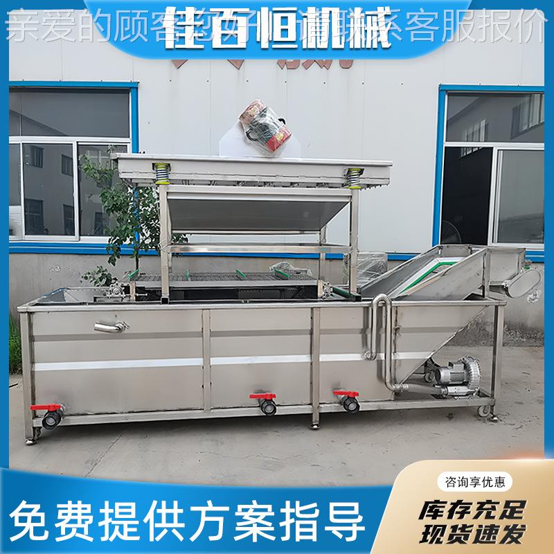 树莓全蓝莓气泡清洗禧蓝机 菜花西花洗菜机千果IIR大枣自动洗果机