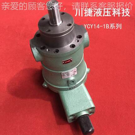 CY14-1B/80YCCY 100YCY 108YCY80YCY 10 10YCYY 250YY 400YCY 轴