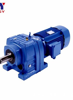 供应DSZRX107斜齿轮减速机立式齿轮箱